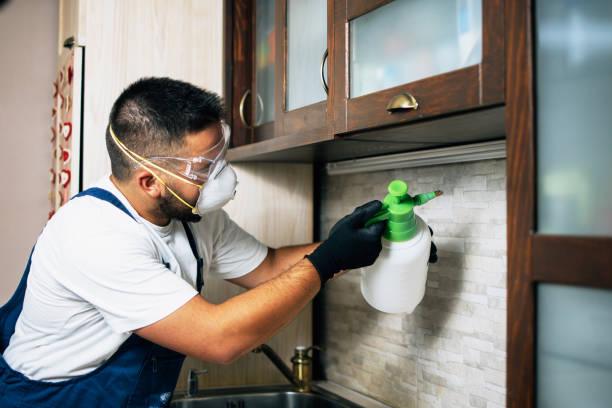 Best Rat Extermination Near Me  in Hiram, GA