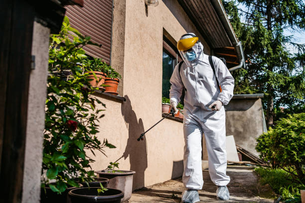 Best Cockroach Control Services  in Hiram, GA