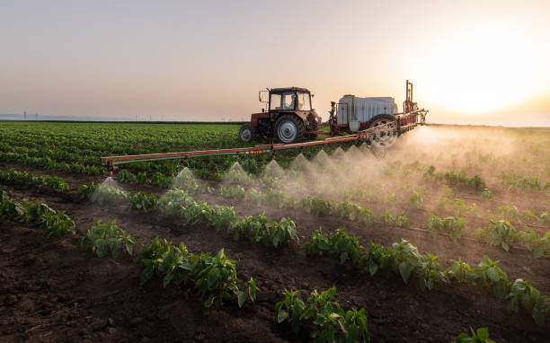 Best Mosquito Control Services  in Hiram, GA