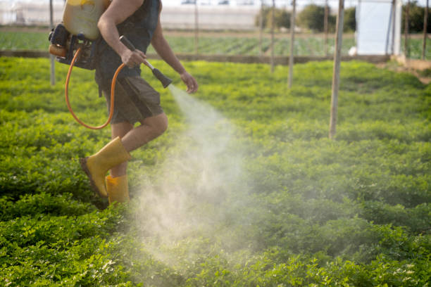 Best Best Pest Control Companies  in Hiram, GA