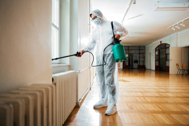 Best Pest Prevention Services  in Hiram, GA